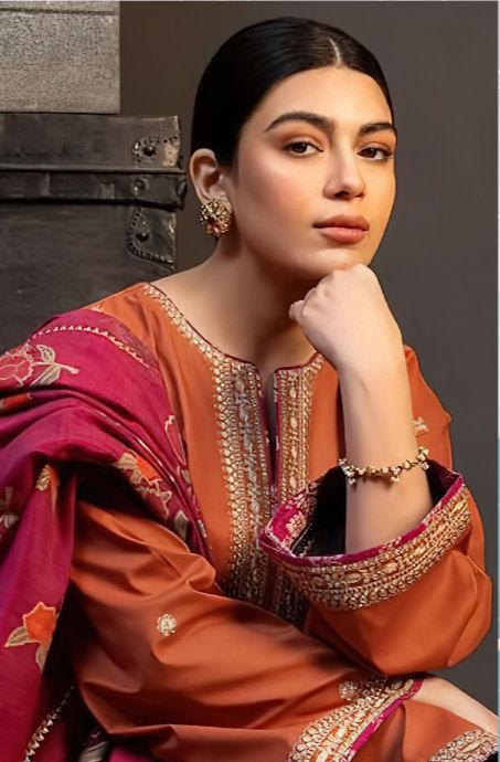 DHANAK 3pc Heavy Embroidered